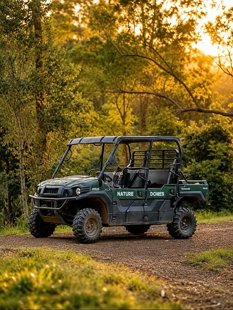 The Nature Domes buggy on a forest track at golden hour
